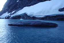Eisbergschwarz